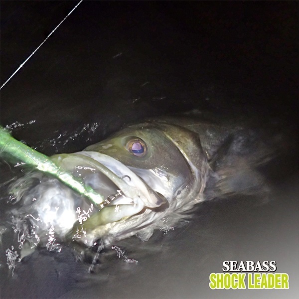 シーバスショックリーダープレミアムフロロ